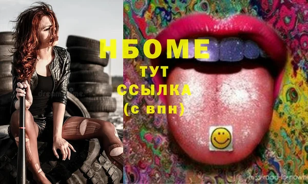 индика Алзамай