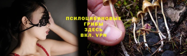 мяу мяу мука Алексеевка