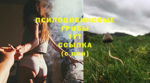 мяу мяу мука Алексеевка
