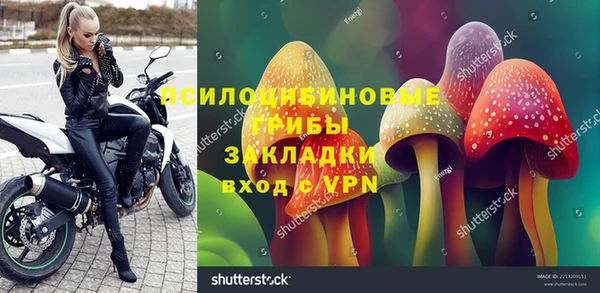 индика Алзамай
