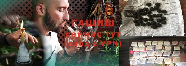 индика Алзамай