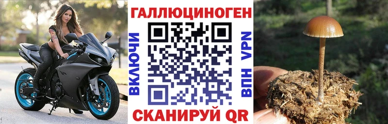 Галлюциногенные грибы GOLDEN TEACHER  МЕГА ссылка  Билибино 